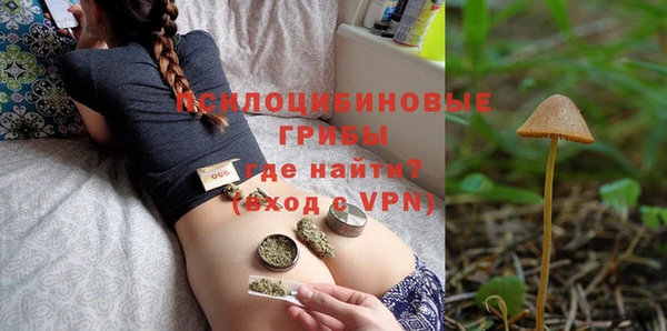 прущие крисы Медвежьегорск