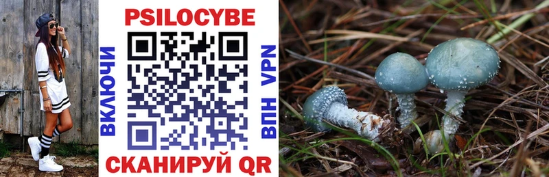 блэк спрут онион  Тогучин  Псилоцибиновые грибы Cubensis 
